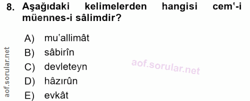 8. soru: Aşağıdaki kelimelerden hangisi cem'-i müennes-i sâlimdir? A) mu'allimât B) sâbirîn C) devleteyn D) hâzirân E) evkât