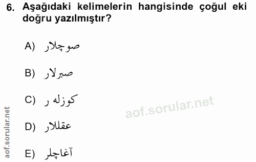 6. soru: Aşağıdaki kelimelerin hangisinde çoğul eki doğru yazılmıştır? A) ,Sta go صبرلار (B c) , ajé D) ›Ses آغاجلر (E