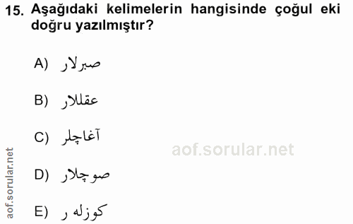 15. soru: Aşağıdaki kelimelerin hangisinde çoğul eki doğru yazılmıştır? A) Urs B) Sllês آغاجلر (C D) ,Stags E) , aj5