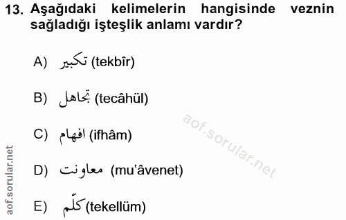 13. soru: Aşağıdaki kelimelerin hangisinde veznin sağladığı işteşlik anlamı vardır? A) suti (tekbir) B) JoLÈ (tecâhül) C) pöl (…