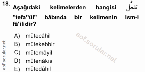 18. soru: Aşağıdaki kelimelerden hangisi "tefa" ül" bâbında bir kelimenin ism-i fâ'ilidir? A) mütecâhil B) mütekebbir C) mütemâ…