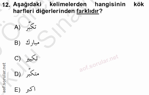 12. soru: Aşağıdaki kelimelerden hangisinin kök harfleri diğerlerinden farklıdır? A) مبارك (B C) súi متكبّر (D اكبر (E