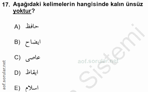 17. soru: Aşağıdaki kelimelerin hangisinde kalın ünsüz yoktur? A) bila B) ¿lis! C) sola ايقاظ (D اسلام (E