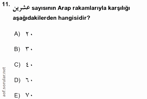 11. soru: 11 Copüs sayısının Arap rakamlarıyla karşılığı aşağıdakilerden hangisidir? A) T• B) r• C) {• D) 7• aof. E V •