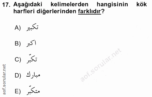 17. soru: Aşağıdaki kelimelerden hangisinin kök harfleri diğerlerinden farklıdır? A) suti B) J51 تكبّر (C lar.ne D) Š‚țo متكبّر (E