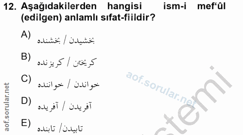 12. soru: Aşağıdakilerden hangisi ism-i mef al (edilgen) anlamlı sifat-fiildir? تخشيدن / بخشنده (A B) كريختن / كريزنده خواندن |…