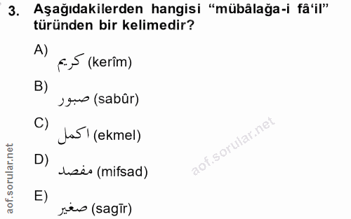 3. soru: Aşağıdakilerden hangisi "mübâlağa-i fâ'il" türünden bir kelimedir? A) f.,5 (kerim) B) sgu (sabür) la51 (ekmel) D) use…