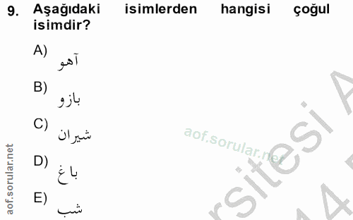 9. soru: Aşağıdaki isimlerden hangisi çoğul isimdir? A) esT B) بازو C) شيران aof.sorular.r sitesi D) باغ E) شب