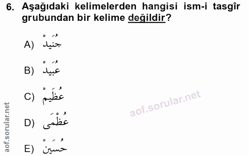 6. soru: Aşağıdaki kelimelerden hangisi ism-i tasgîr grubundan bir kelime değildir? A) جنيد B) dục C) عُظَيمْ D) - abs حُسَيْن…