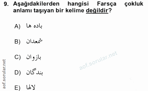 9. soru: Aşağıdakilerden hangisi Farsça çokluk anlamı taşıyan bir kelime değildir? A) Lo osu B) Ülesi بازوان (C بند كان (D E) Ly