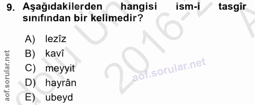 9. soru: Aşağıdakilerden hangisi ism-i tasgir sınıfından bir kelimedir? A) leziz B) kavî C) meyyit aof. D) hayrân E) ubeyd