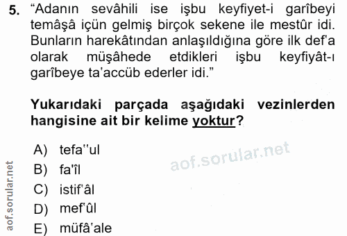 5. soru: "Adanın sevâhili ise işbu keyfiyet-i garîbeyi temâşâ içün gelmiş birçok sekene ile mestür idi. Bunların harekâtından…