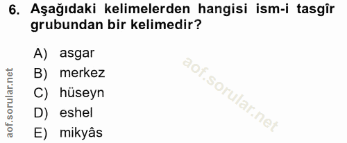 6. soru: Aşağıdaki kelimelerden hangisi ism-i tasgîr grubundan bir kelimedir? A) asgar B) merkez C) hüseyn D) eshel E) mikyâs
