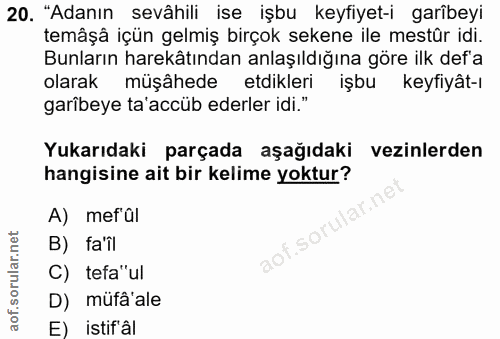 20. soru: "Adanın sevâhili ise işbu keyfiyet-i garîbeyi temâşâ içün gelmiş birçok sekene ile mestür idi. Bunların harekâtından…