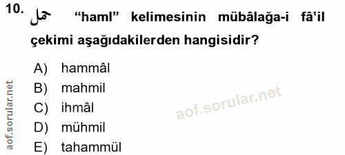 10. soru: Jo "haml" kelimesinin mübâlağa-i fâ'il çekimi aşağıdakilerden hangisidir? A) hammâl B) mahmil C) ihmâl D) mühmil E) t…