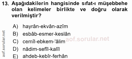 13. soru: Aşağıdakilerin hangisinde sıfat-ı müşebbehe olan kelimeler birlikte ve doğru olarak verilmiştir? A) hayrân-ekvân-azîm…