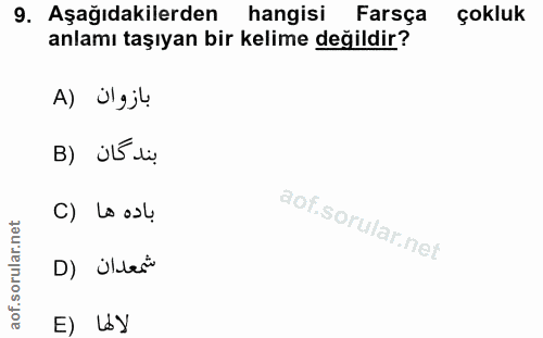 9. soru: Aşağıdakilerden hangisi Farsça çokluk anlamı taşıyan bir kelime değildir? A) Ülgjl بندكان (B C) La osl D) ildes" E) Ly