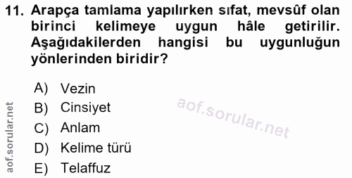 11. soru: Arapça tamlama yapılırken sıfat, mevsûf olan birinci kelimeye uygun hâle getirilir. Aşağıdakilerden hangisi bu uygunl…