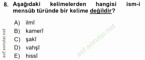 8. soru: Aşağıdaki kelimelerden hangisi ism-i mensüb türünde bir kelime değildir? A) ilmî B) kamerî C) şakî D) vahșî E) hissi