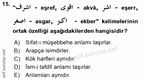 15. soru: " Üyül - eşref, Sãl - akvâ, mil - eşerr, ed - asgar, 151 - ekber" kelimelerinin ortak özelliği aşağıdakilerden hangis…