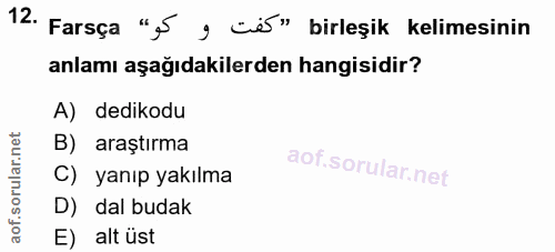 12. soru: Farsça ",5 y cis" birleşik kelimesinin anlamı aşağıdakilerden hangisidir? A) dedikodu B) araştırma C) yanıp yakılma D…