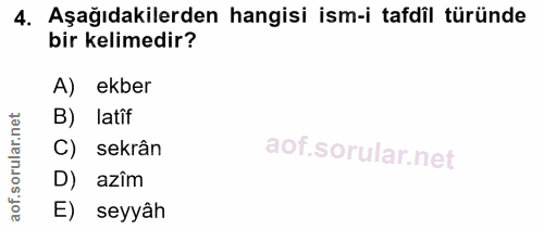 4. soru: Aşağıdakilerden hangisi ism-i tafdil türünde bir kelimedir? A) ekber B) latif C) sekrân D) azîm E) seyyâh
