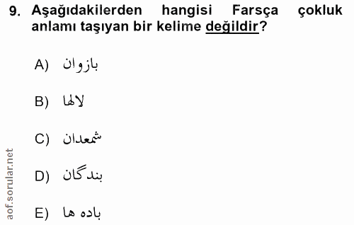 9. soru: Aşağıdakilerden hangisi Farsça çokluk anlamı taşıyan bir kelime değildir? بازوان (A B) Ly C) Üler" بند كان (D E) L• o›u