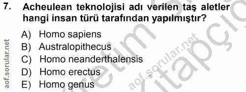 7. soru: Acheulean teknolojisi adı verilen taş aletler hangi insan türü tarafından yapılmıştır? A) Homo sapiens B) Australopit…