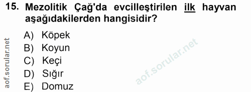 15. soru: Mezolitik Çağ'da evcilleştirilen ilk hayvan aşağıdakilerden hangisidir? A) Köpek B) Koyun C) Keçi D) Sığır E) Domuz
