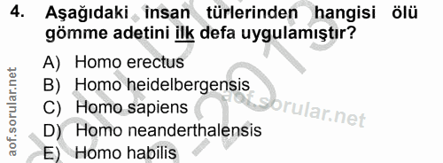4. soru: Aşağıdaki , insan türlerinden hangisi ölü gömme adetini ilk defa uygulamıştır? A) Homo erectus B) Homo heidelbergensi…