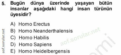 5. soru: Bugün dünya üzerinde yaşayan bütün insanlar aşağıdaki hangi insan türünün üyesidir? A) Homo Erectus B) Homo Neanderth…
