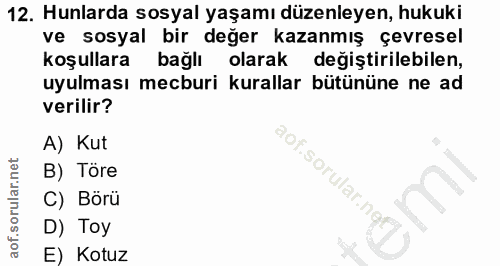12. soru: Hunlarda sosyal yaşamı düzenleyen, hukuki ve sosyal bir değer kazanmış çevresel koşullara bağlı olarak değiştirilebil…