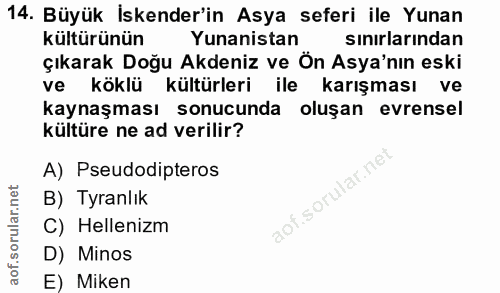 14. soru: Büyük İskender'in Asya seferi ile Yunan kültürünün Yunanistan sinırlarından çıkarak Doğu Akdeniz ve Ön Asya'nın eski…