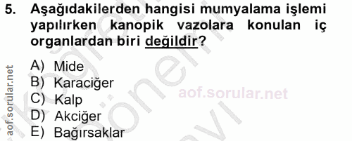 5. soru: Aşağıdakilerden hangisi mumyalama işlemi yapılırken kanopik vazolara konulan iç organlardan biri değildir? A) Mide B)…