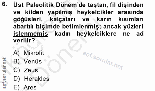6. soru: Ust Paleolitik Dönem'de taştan, fil dişinden ve kilden yapılmış heykelcikler arasında gögüsleri, kalçaları ve karın k…