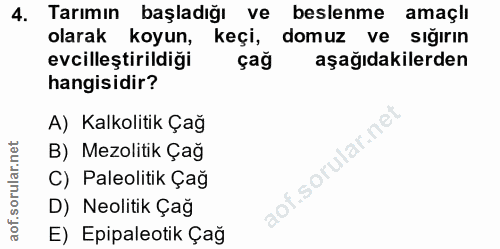 4. soru: Tarımın başladığı ve beslenme amaçlı olarak koyun, keçi, domuz ve sığırın evcilleştirildiği çağ aşağıdakilerden hangi…
