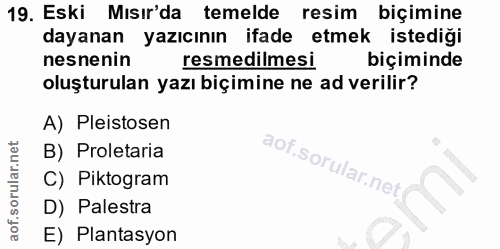 19. soru: Eski Mısır'da temelde resim biçimine dayanan yazıcının ifade etmek istediği nesnenin resmedilmesi biçiminde oluşturul…