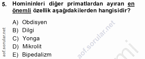 5. soru: Homininleri diğer primatlardan ayıran en önemli özellik aşağıdakilerden hangisidir? A) Obdisyen B) Dilgi C) Yonga aof…