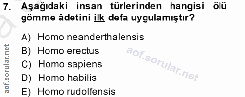 7. soru: Aşağıdaki insan türlerinden hangisi ölü gömme âdetini ilk defa uygulamıştır? A) Homo neanderthalensis B) Homo erectus…