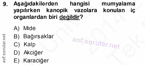 9. soru: Aşağıdakilerden hangisi mumyalama yapılırken kanopik vazolara konulan iç organlardan biri değildir? A) Mide B) Bağırs…