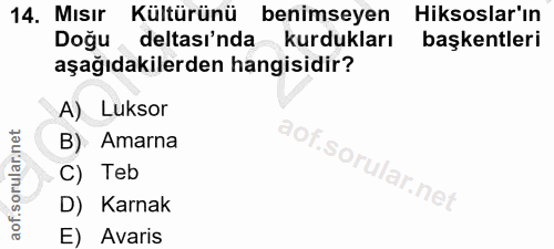 14. soru: Mısır Kültürünü benimseyen Hiksoslar'ın Doğu deltası'nda kurdukları başkentleri aşağıdakilerden hangisidir? A) Luksor…