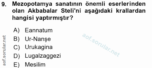9. soru: Mezopotamya sanatının önemli eserlerinden olan Akbabalar Steli'ni aşağıdaki krallardan hangisi yaptırmıştır? A) Eanna…
