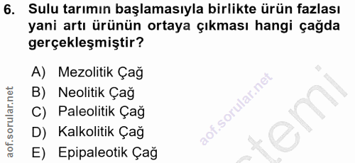 6. soru: Sulu tarımın başlamasıyla birlikte ürün fazlası yani artı ürünün ortaya çıkması hangi çağda gerçekleşmiştir? A) Mezol…