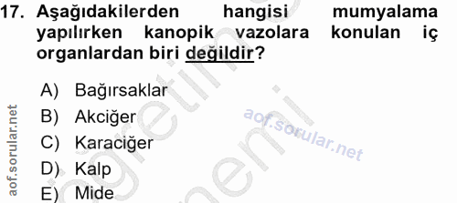 17. soru: Aşağıdakilerden hangisi mumyalama yapılırken kanopik vazolara konulan iç organlardan biri değildir? A) Bağırsaklar B)…