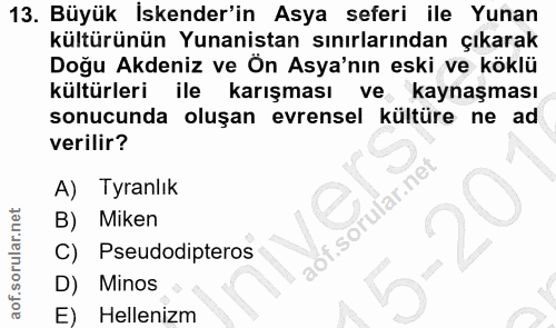 13. soru: Büyük İskender'in Asya seferi ile Yunan kültürünün Yunanistan sınırlarından çıkarak Doğu Akdeniz ve Ön Asya'nın eski…