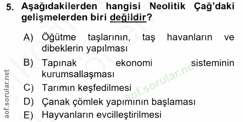 5. soru: Aşağıdakilerden hangisi Neolitik Çağ'daki gelişmelerden biri değildir? A) Öğütme taşlarının, taş havanların ve dibekl…