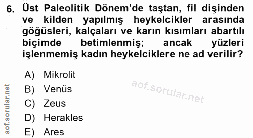 6. soru: Ust Paleolitik Dönem'de taştan, fil dişinden ve kilden yapılmış heykelcikler arasında göğüsleri, kalçaları ve karın k…