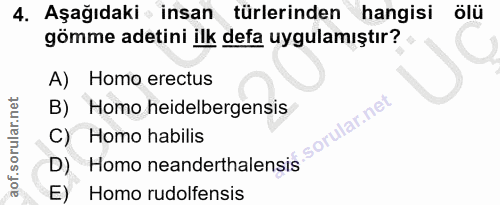 4. soru: Aşağıdaki • insan türlerinden hangisi ölü gömme adetini ilk defa uygulamıştır? A) Homo erectus D) Homo neanderthalens…
