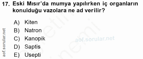 17. soru: Eski Mısır'da mumya yapılırken iç organların konulduğu vazolara ne ad verilir? A) Kiten B) Natron C) Kanopi D) Saptis…