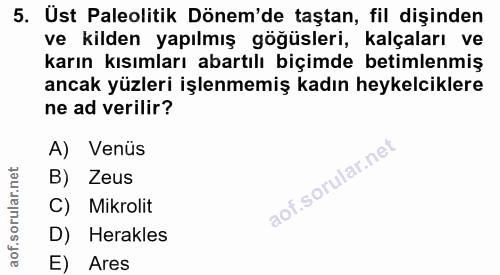5. soru: Ust Paleolitik Dönem'de taştan, fil dişinden ve kilden yapılmış göğüsleri, kalçaları ve karın kısımları abartılı biçi…